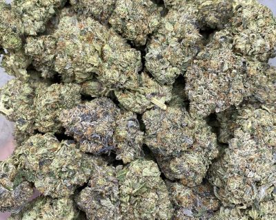 ROTTWEILER PINK (MEGA GAS) - Image 7